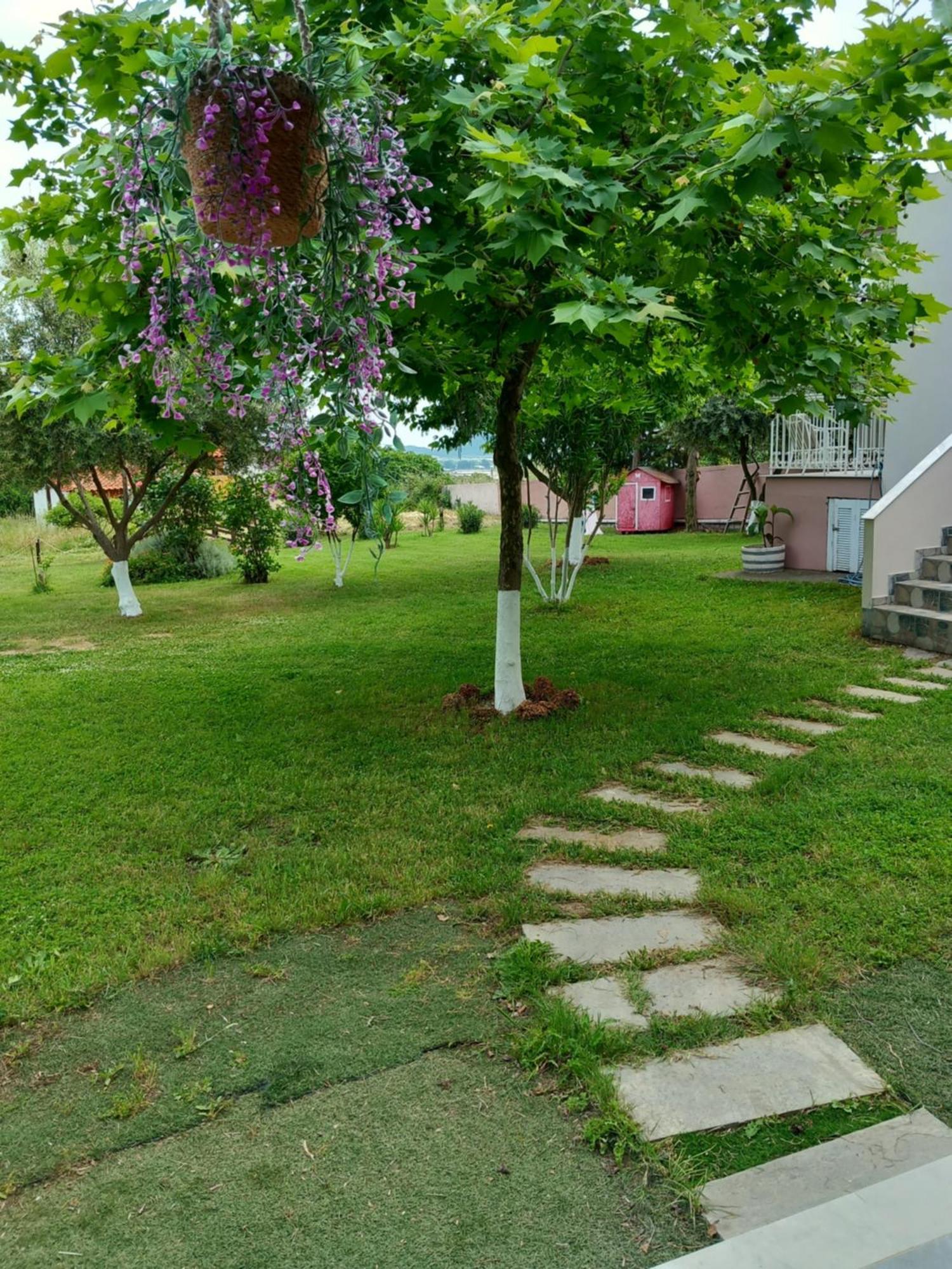 Green Meadow Elevtherai Екстериор снимка
